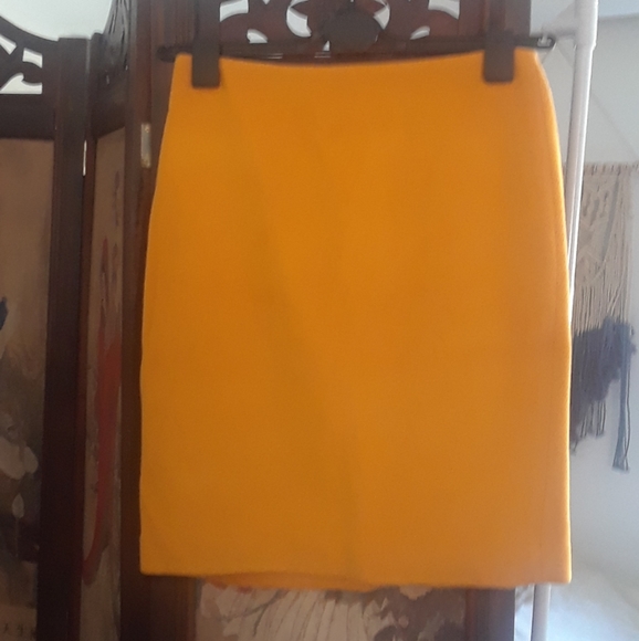 Talbots Wool skirt lined and well made. Size 2P - Picture 1 of 3
